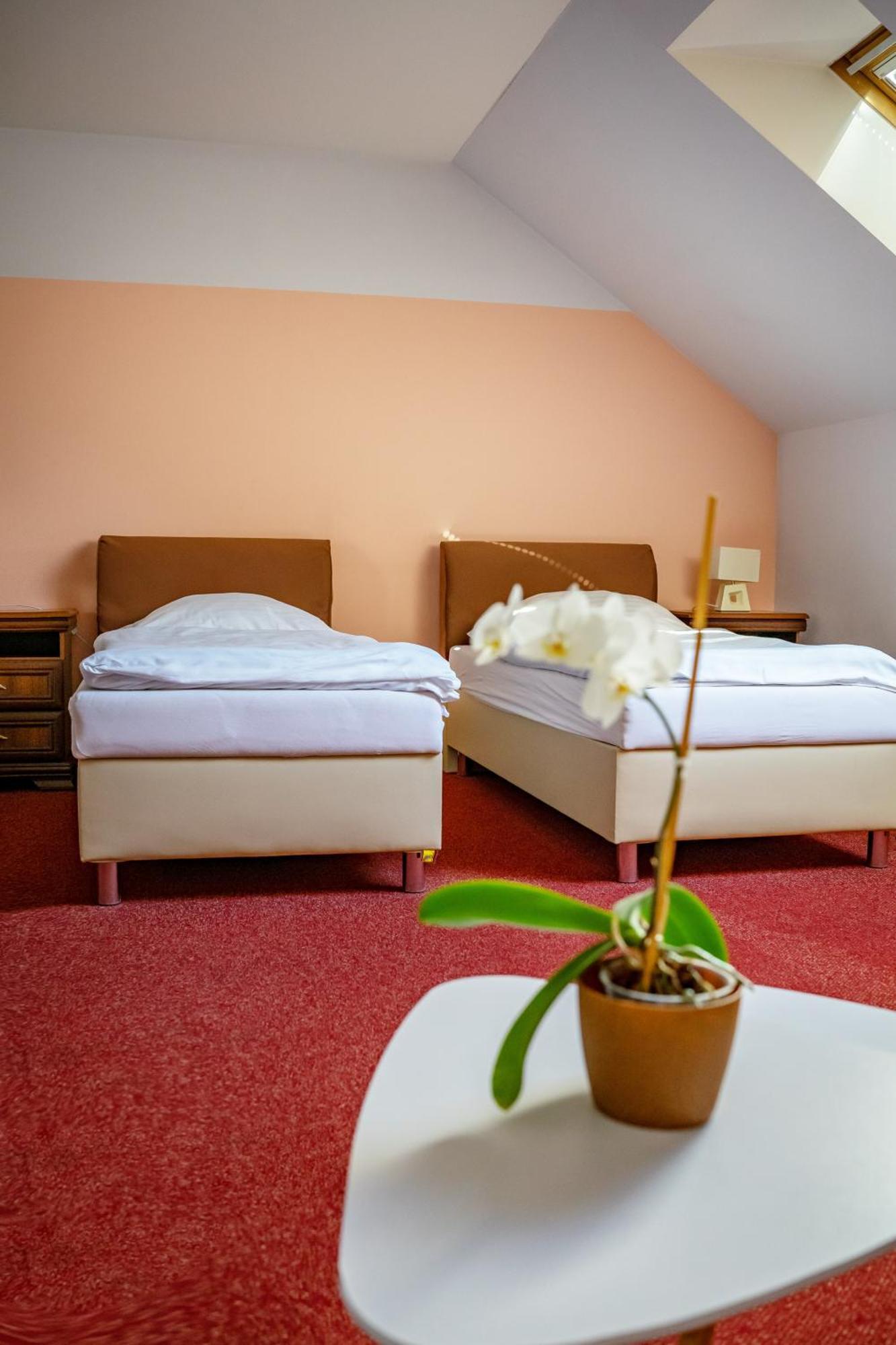 Hotel Ruzek Hranice  Bagian luar foto